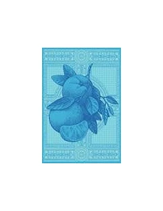 Paño de cocina tela 70x50 cm - Paño de cocina 100% algodón 260 gr. temporada 2